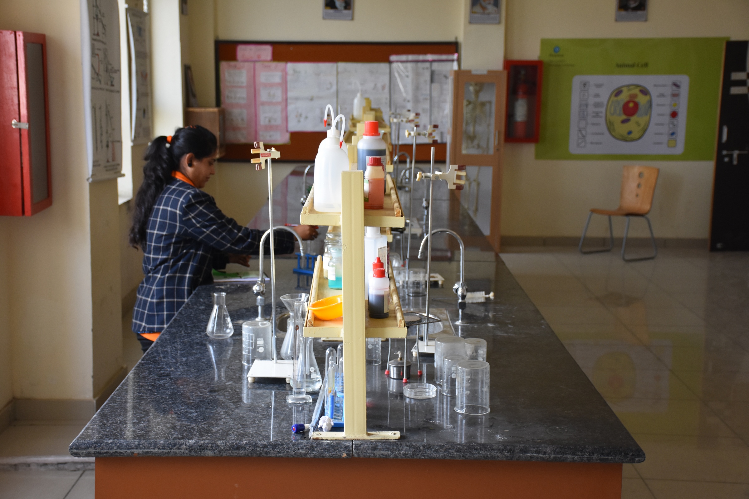 Partap World School Labs (3)